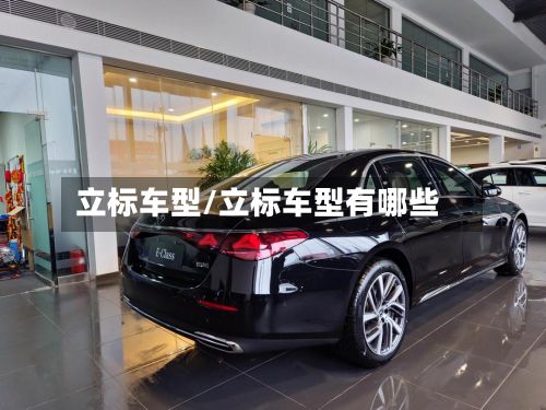 立标车型/立标车型有哪些-第2张图片