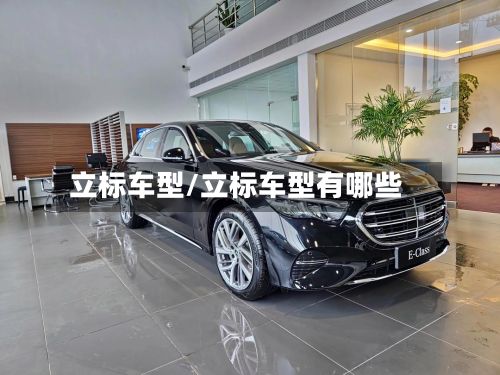 立标车型/立标车型有哪些