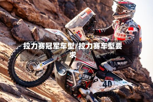 拉力赛冠军车型/拉力赛车型要求