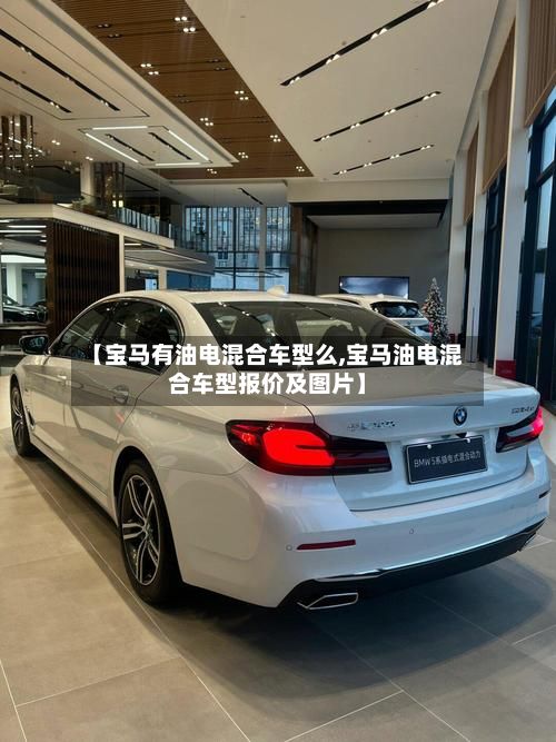 【宝马有油电混合车型么,宝马油电混合车型报价及图片】-第2张图片