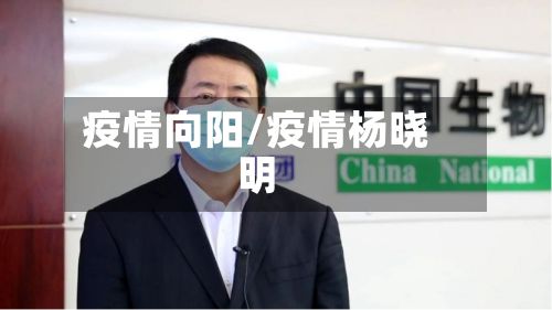 疫情向阳/疫情杨晓明-第3张图片