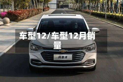 车型12/车型12月销量-第2张图片