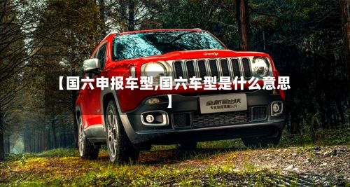 【国六申报车型,国六车型是什么意思】-第2张图片