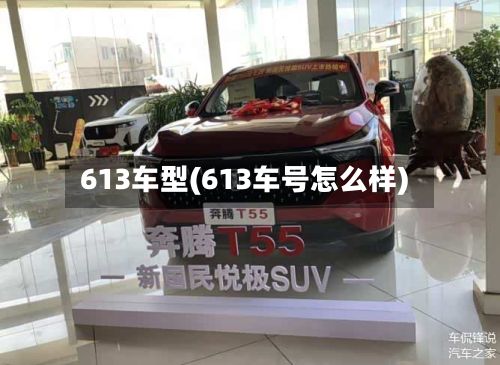 613车型(613车号怎么样)-第2张图片