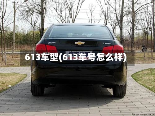 613车型(613车号怎么样)-第3张图片