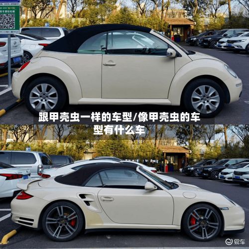 跟甲壳虫一样的车型/像甲壳虫的车型有什么车-第2张图片