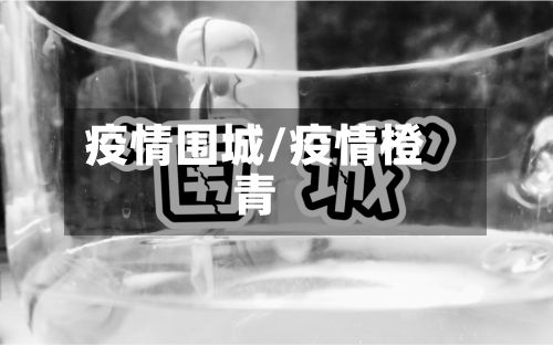 疫情围城/疫情橙青-第3张图片