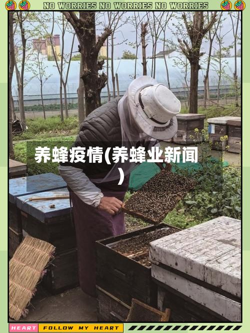 养蜂疫情(养蜂业新闻)-第3张图片