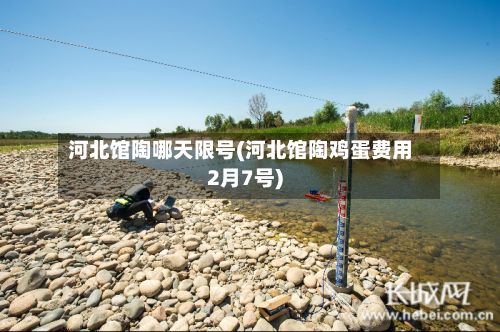 河北馆陶哪天限号(河北馆陶鸡蛋费用2月7号)-第3张图片