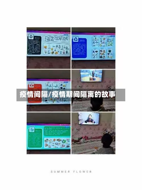 疫情间隔/疫情期间隔离的故事-第3张图片
