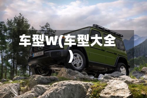 车型W(车型大全)-第2张图片