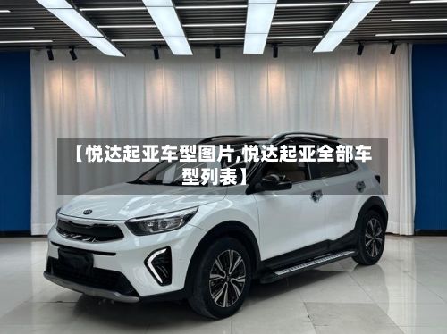 【悦达起亚车型图片,悦达起亚全部车型列表】-第3张图片
