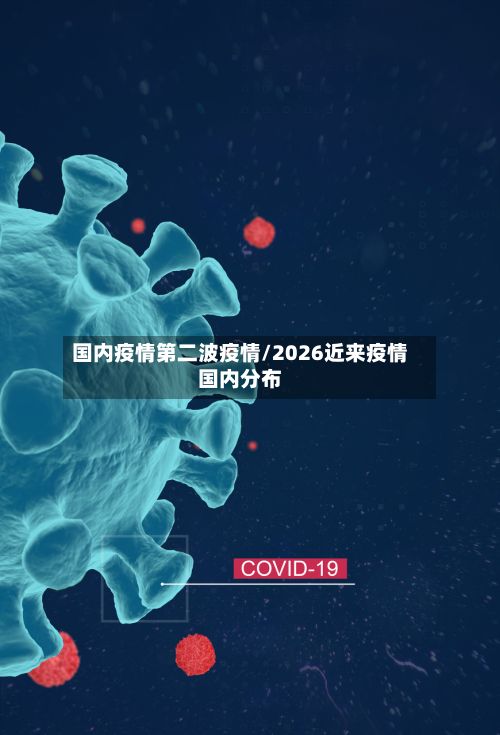 国内疫情第二波疫情/2026近来疫情国内分布-第2张图片