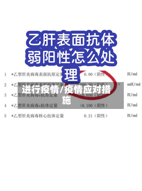 进行疫情/疫情应对措施-第2张图片