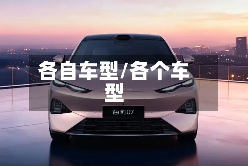 各自车型/各个车型