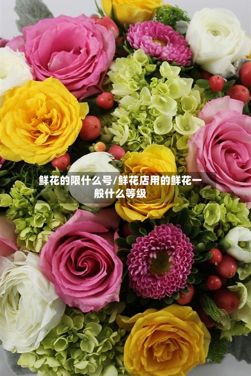 鲜花的限什么号/鲜花店用的鲜花一般什么等级