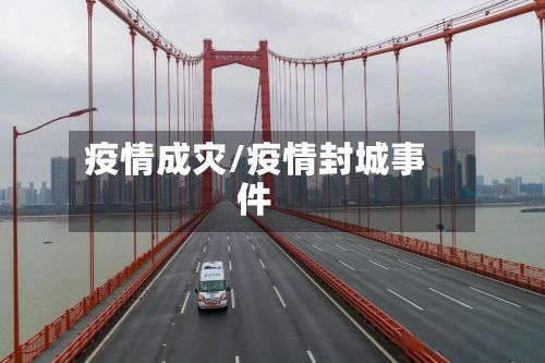 疫情成灾/疫情封城事件-第3张图片
