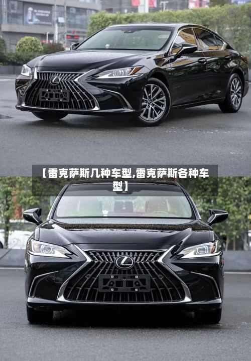 【雷克萨斯几种车型,雷克萨斯各种车型】