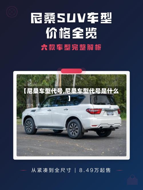 【尼桑车型代号,尼桑车型代号是什么】-第3张图片