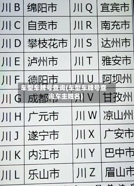 车型车牌号查询(车型车牌号查询车主姓名)-第3张图片