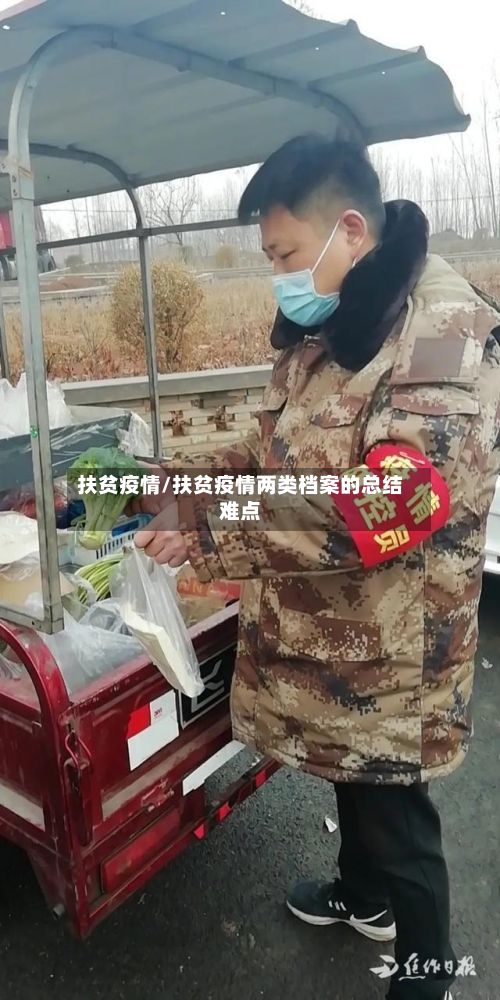 扶贫疫情/扶贫疫情两类档案的总结难点