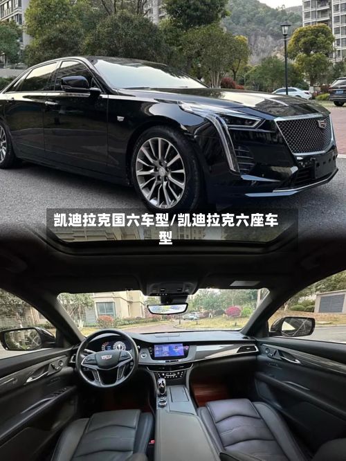 凯迪拉克国六车型/凯迪拉克六座车型-第2张图片