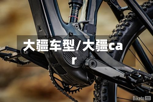 大疆车型/大疆car-第2张图片
