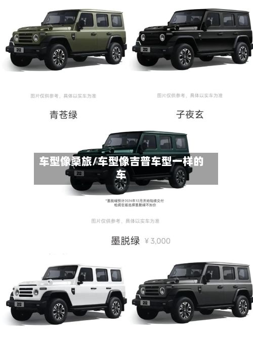 车型像桑旅/车型像吉普车型一样的车-第2张图片