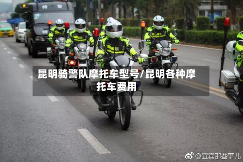 昆明骑警队摩托车型号/昆明各种摩托车费用