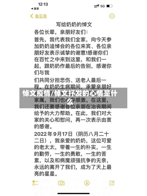 悼文疫情/悼文抒发的心情是什么-第2张图片