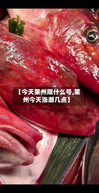 【今天莱州限什么号,莱州今天涨潮几点】