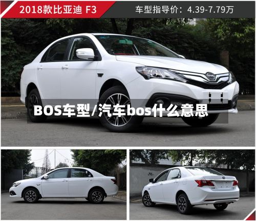 BOS车型/汽车bos什么意思