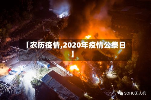 【农历疫情,2020年疫情公祭日】