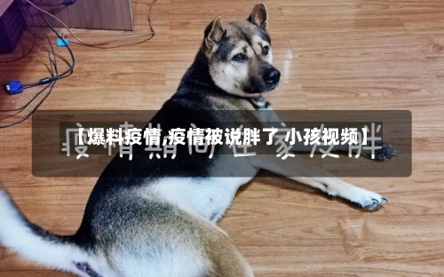 【爆料疫情,疫情被说胖了 小孩视频】