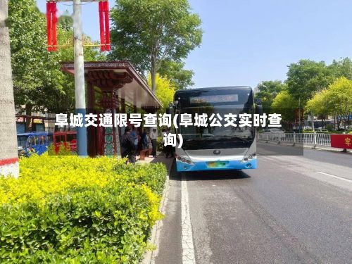 阜城交通限号查询(阜城公交实时查询)