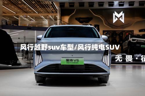 风行越野suv车型/风行纯电SUV