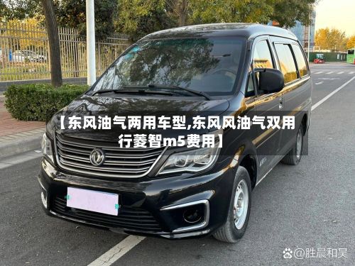 【东风油气两用车型,东风风油气双用行菱智m5费用】-第2张图片