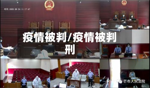 疫情被判/疫情被判刑
