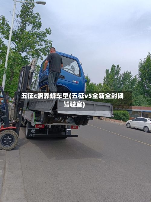 五征c照养蜂车型(五征v5全新全封闭驾驶室)