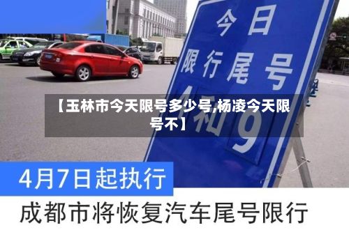 【玉林市今天限号多少号,杨凌今天限号不】-第3张图片