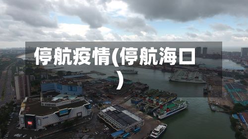 停航疫情(停航海口)-第2张图片