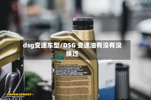 dsg变速车型/DSG 变速油有没有没换过