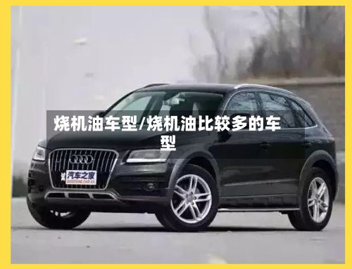 烧机油车型/烧机油比较多的车型