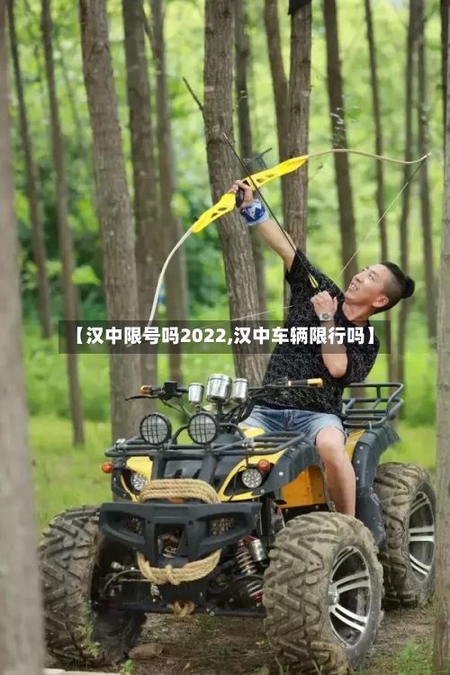 【汉中限号吗2022,汉中车辆限行吗】-第2张图片