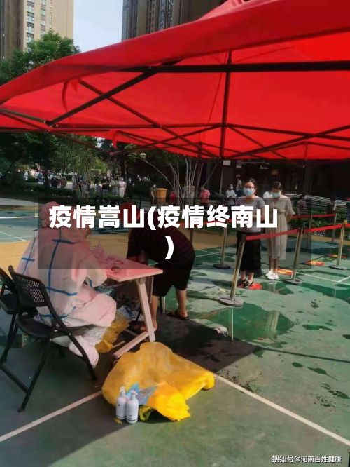 疫情嵩山(疫情终南山)-第3张图片