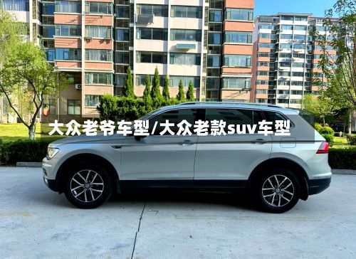 大众老爷车型/大众老款suv车型