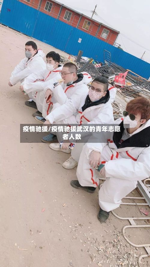 疫情驰援/疫情驰援武汉的青年志愿者人数