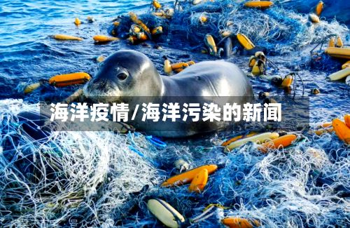 海洋疫情/海洋污染的新闻