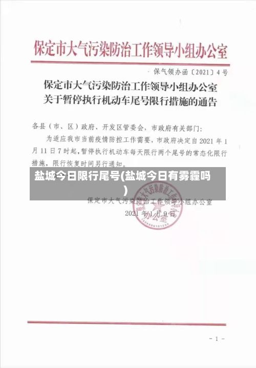 盐城今日限行尾号(盐城今日有雾霾吗)-第3张图片