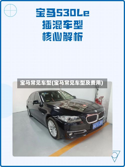 宝马常见车型(宝马常见车型及费用)-第2张图片
